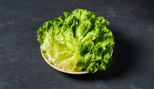 L08. Romaine Lettuce (30s)