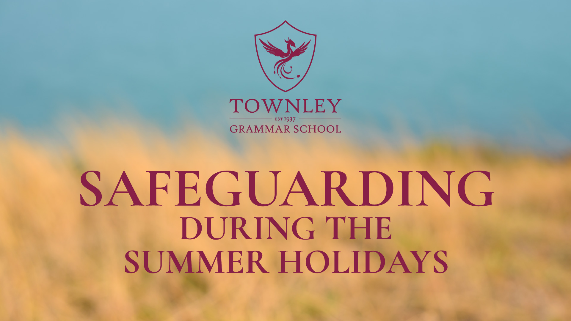 Featured Image for “Safeguarding over the Summer”