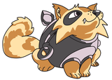 2026_pins_rocnest