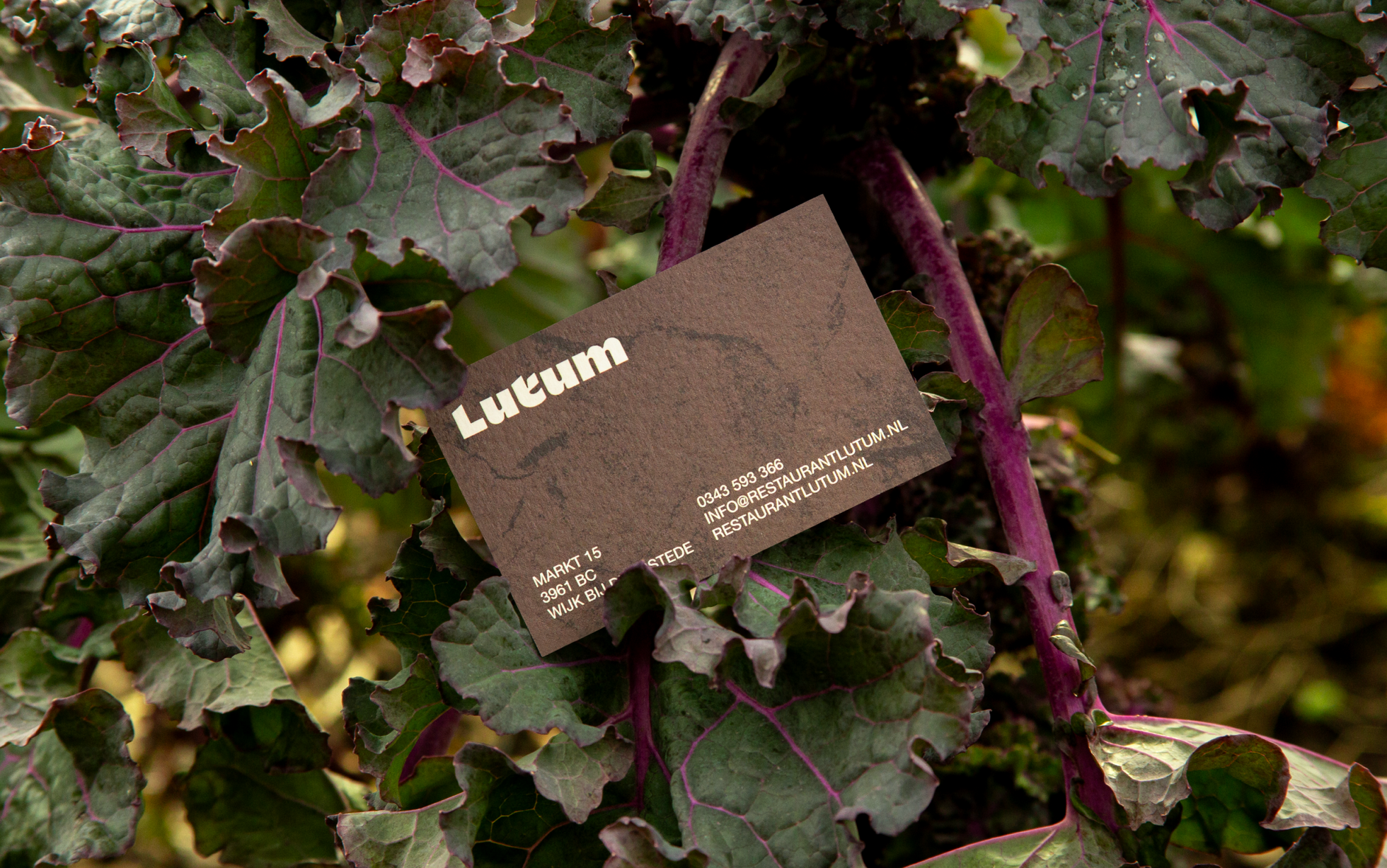 RestaurantLutum-Visual_20258