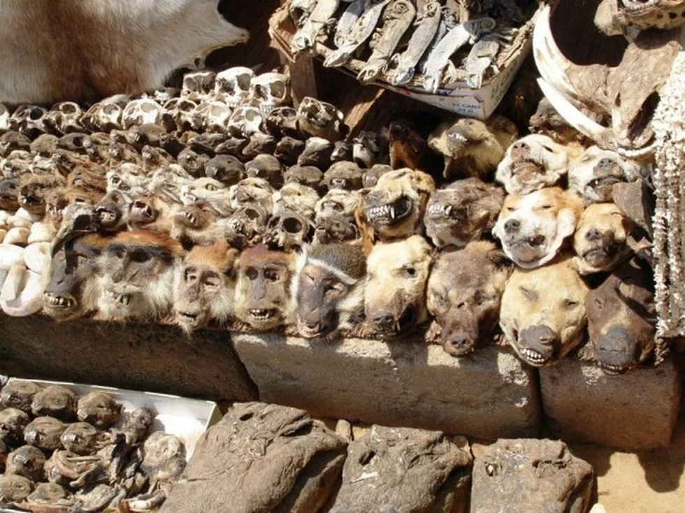 Un mercado de fetiches ocupado por herboristas, curanderos, brujos y sanadores...