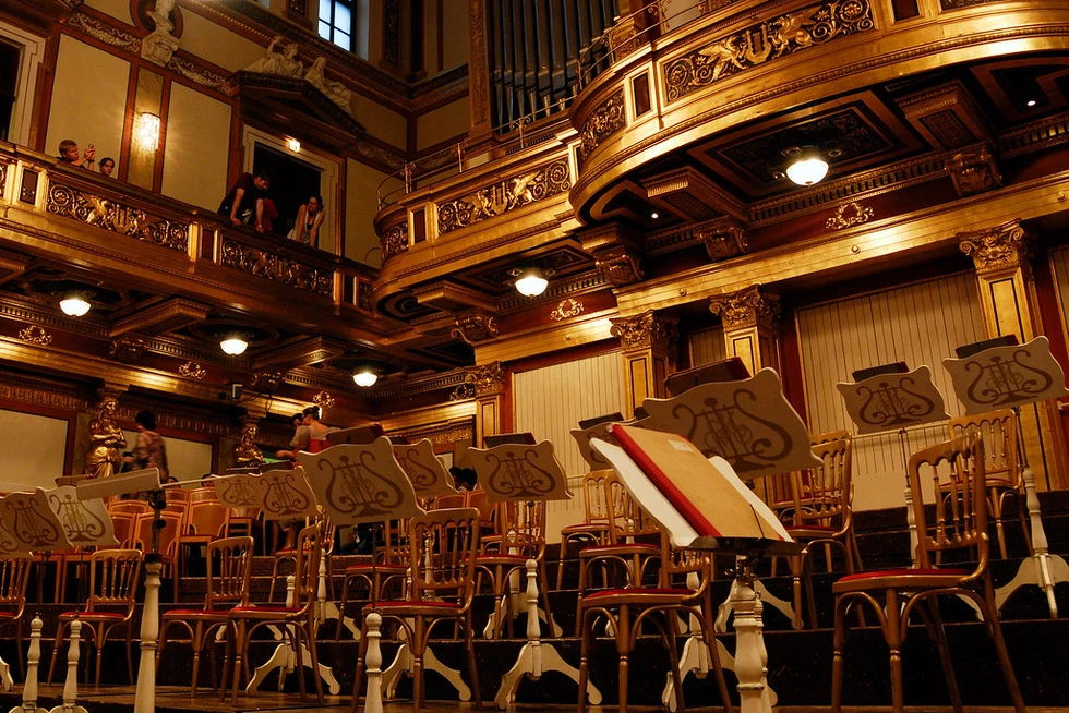 Concierto de Año Nuevo de Viena, el concierto más famoso del mundo...