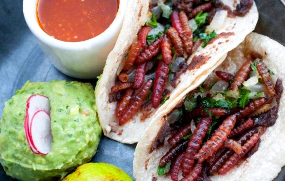 Una receta mexicana muy particular: Tacos de gusanos de maguey