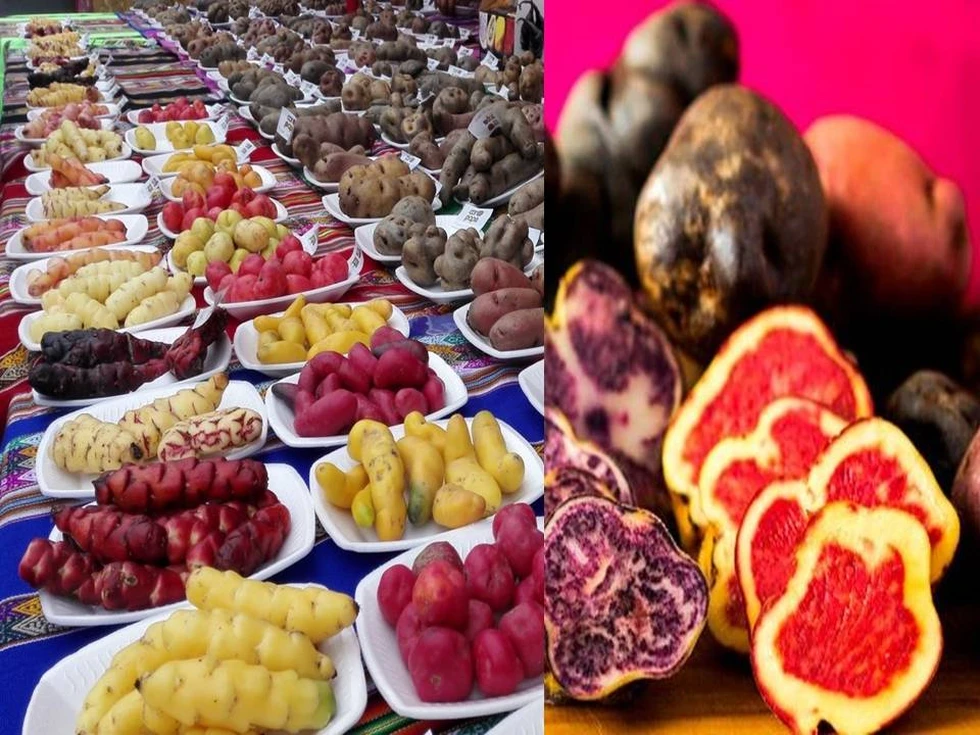 Una curiosidad sobre Perú...