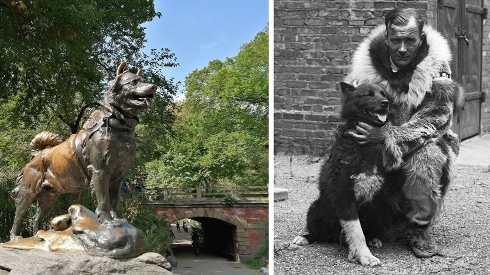 La increíble historia de Balto, el perro héroe de Alaska