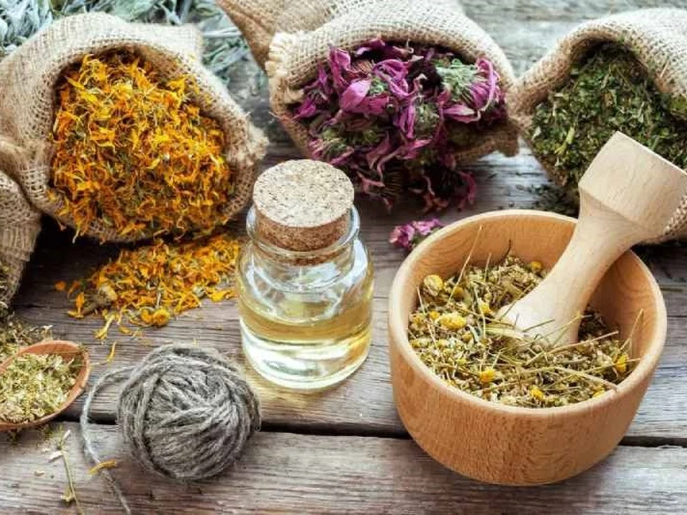 Las 10 plantas medicinales más beneficiosas para la salud