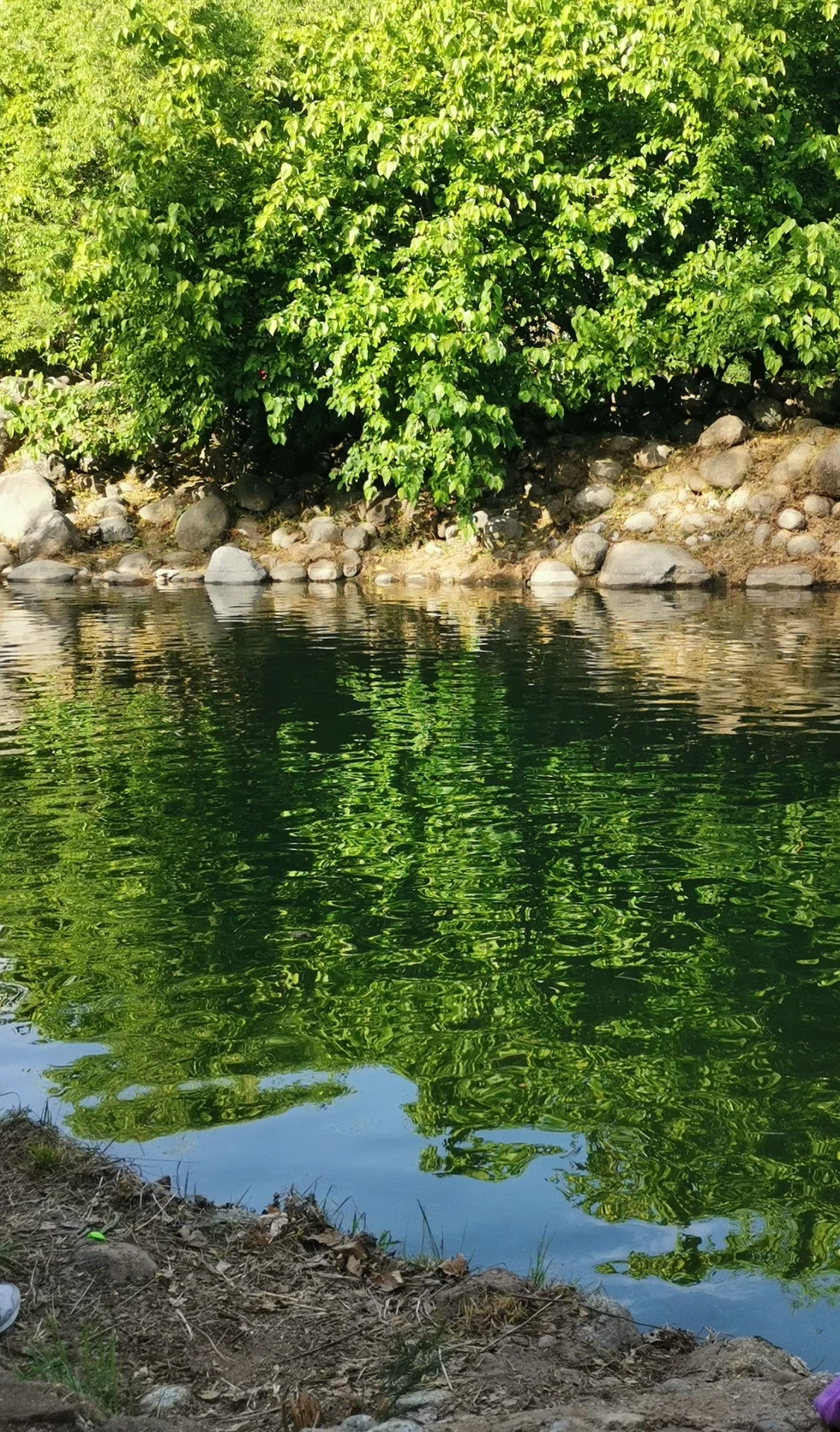 TRANSPARENCIA MÁGICA