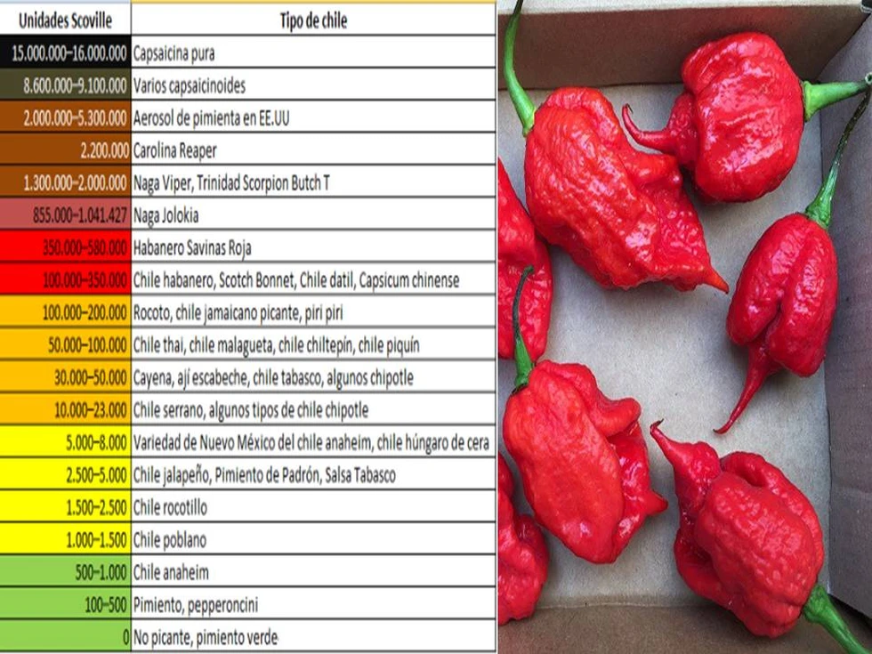 ¿Han probado el que es, oficialmente, el chile más picante del mundo?