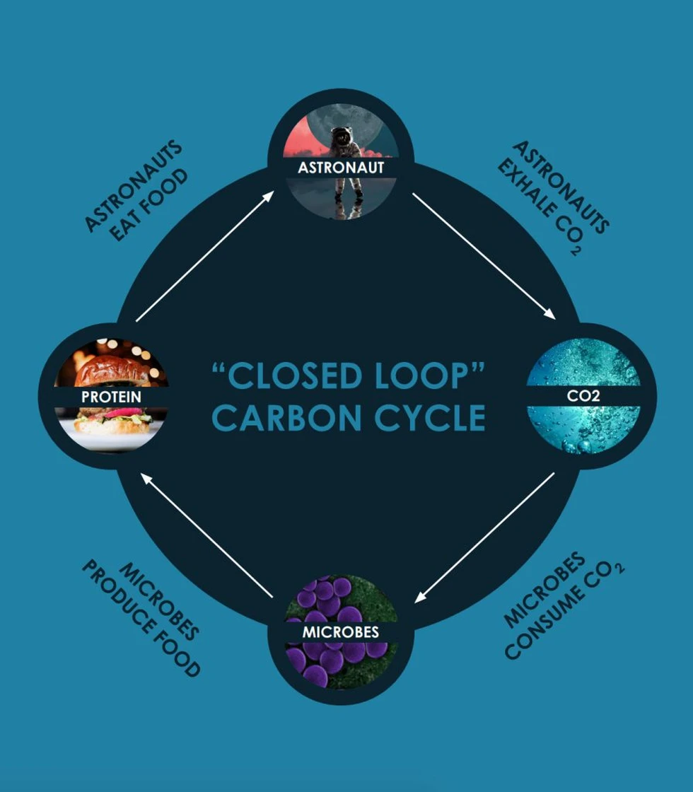 Air Protein: ¿la "carne" que comeremos en el futuro?