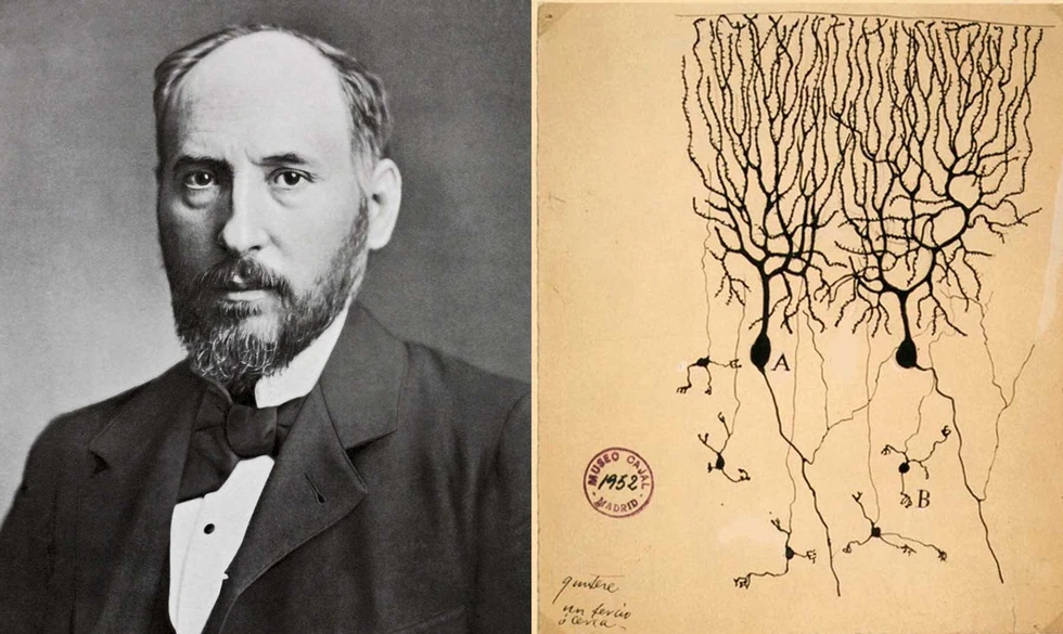 ¿Sabes quién fue Santiago Ramón y Cajal?