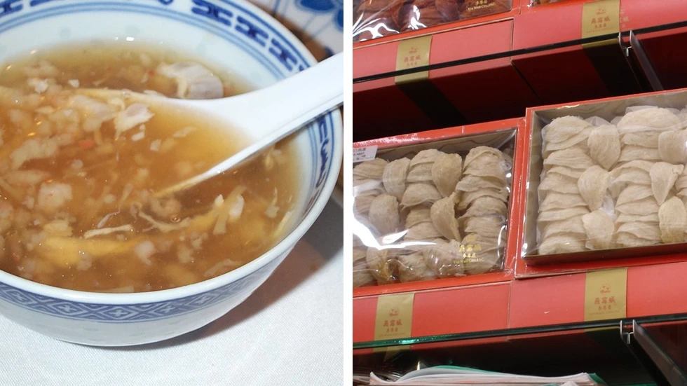 Nidos comestibles, un curioso y controvertido manjar asiático