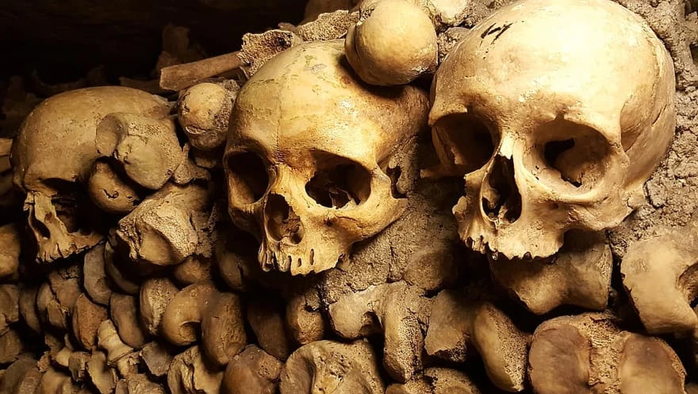 ¿Quién construyó las Catacumbas de París?