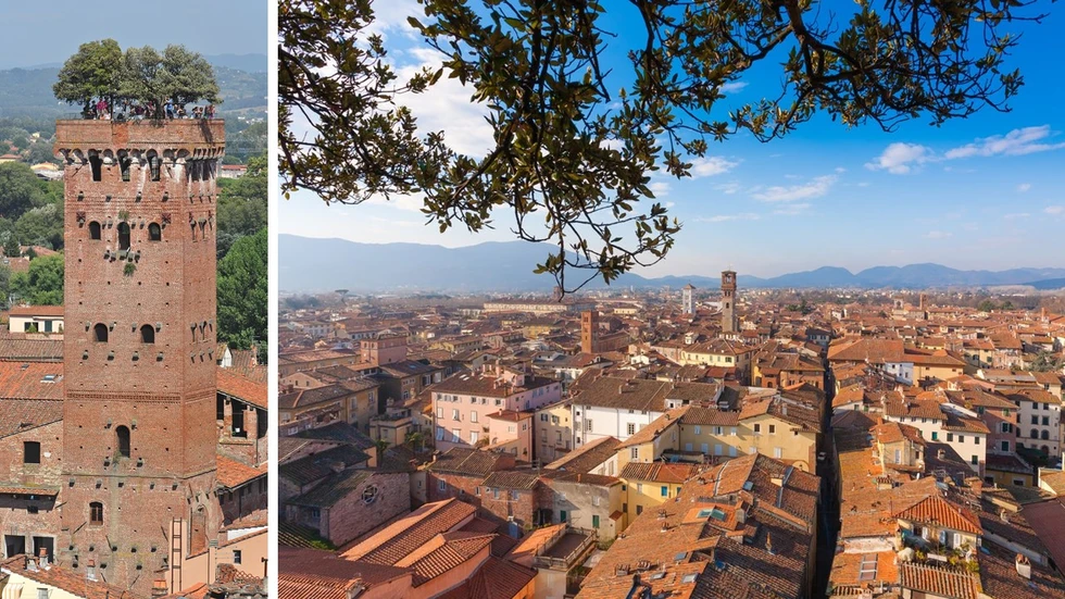 Guinigui, la "torre árbol" toscana
