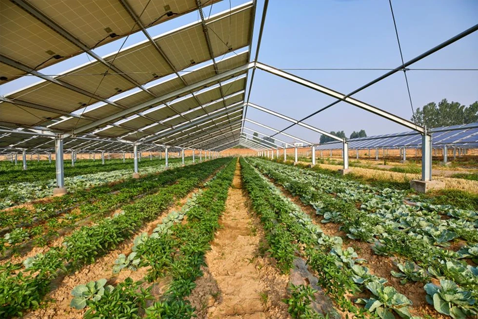 Instalaciones Agro Solares: cómo funcionan, ventajas e inconvenientes