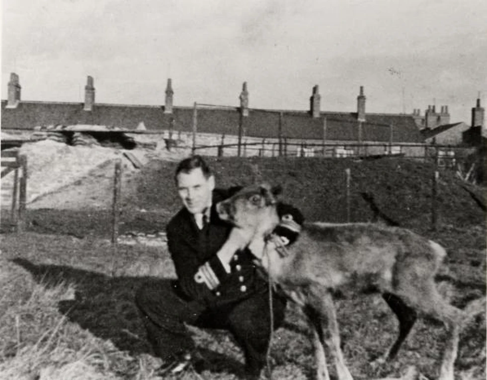 La increíble historia del reno y el submarino británico...