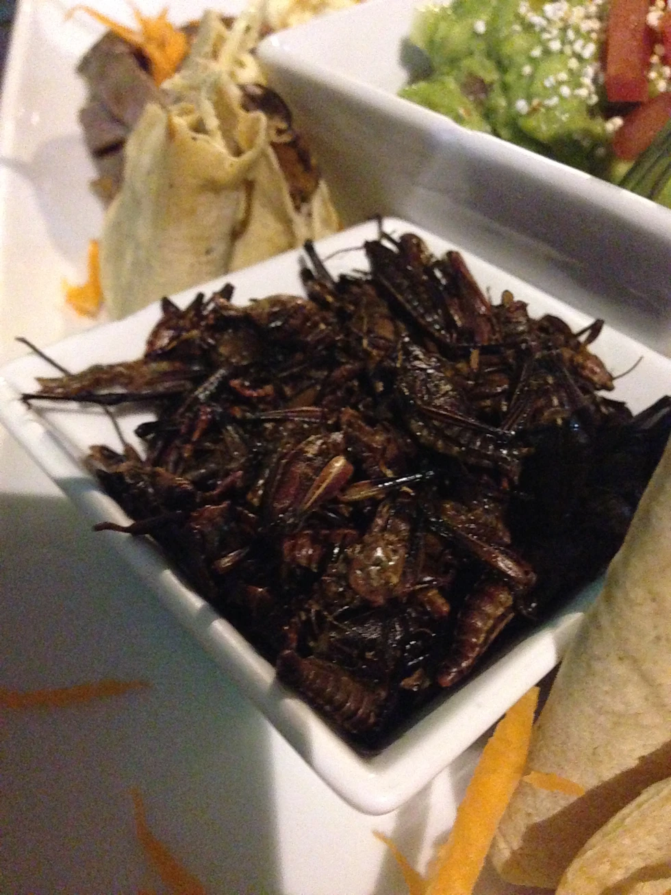 ¿Han probado los chapulines con chocolate?