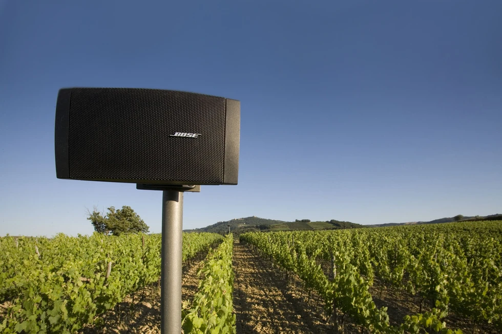 Il Paradiso di Frassina: música en los viñedos