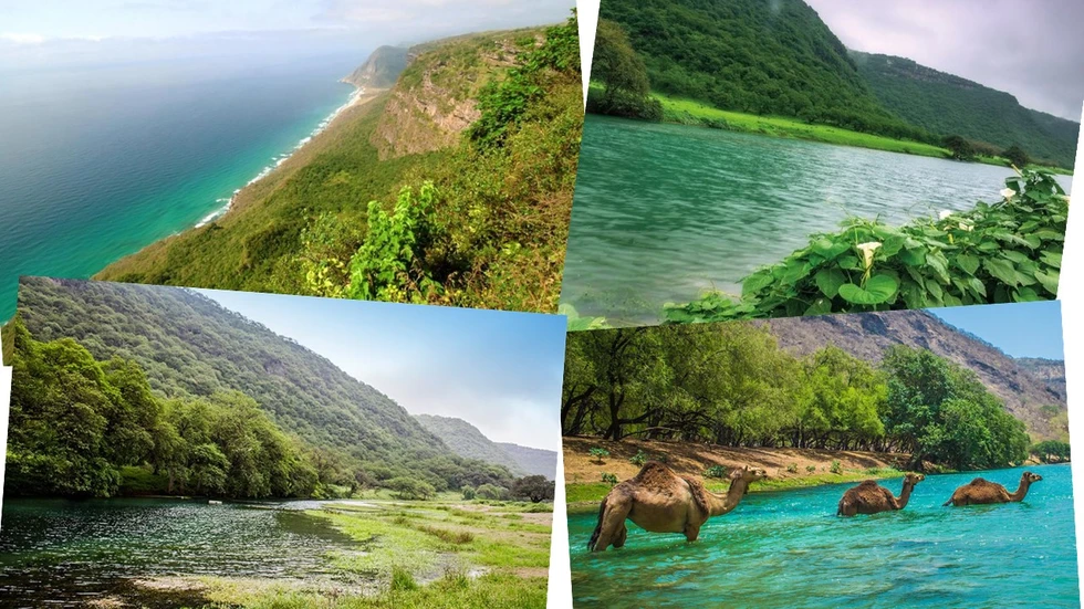 Un increíble e inesperado vergel en Oriente Medio