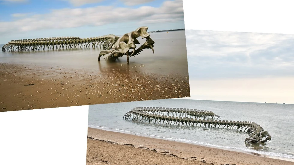 Una serpiente gigante en la costa francesa