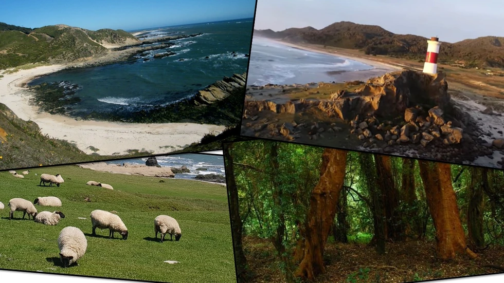 Isla Mocha, el paraíso perdido chileno