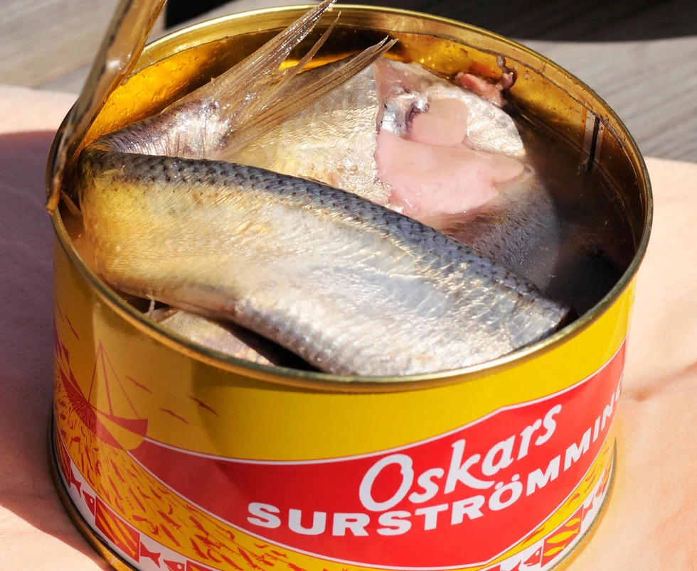 ¿Conocen el Surströmming?