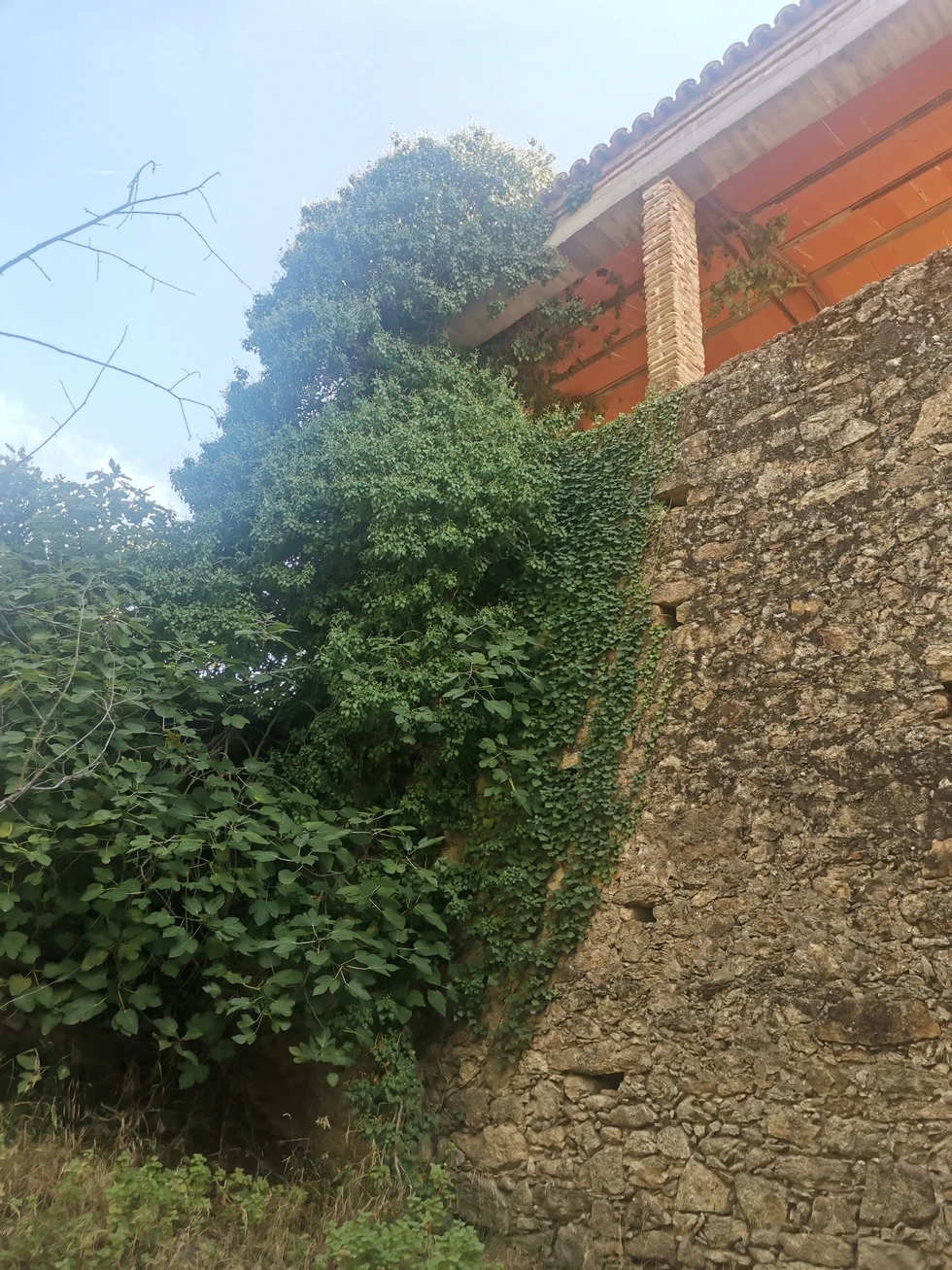 Miradas del pasado olvidado