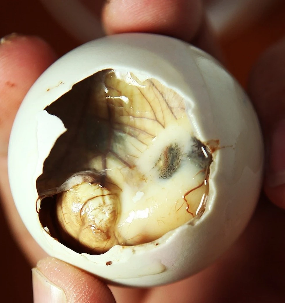 ¿Saben qué son los balut?