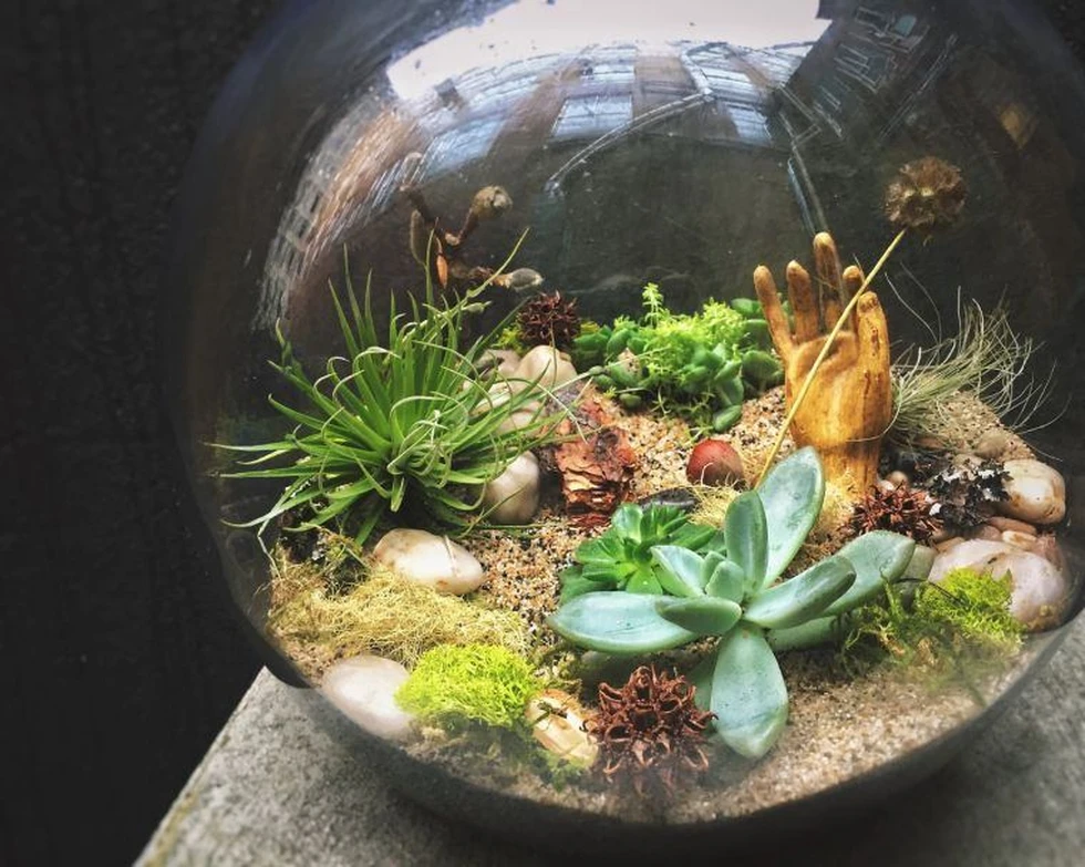 Cómo hacer un jardín en botellas de vidrio