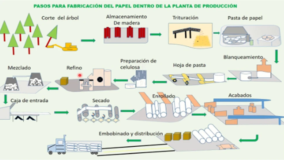 ¿Cómo fabrican el papel?