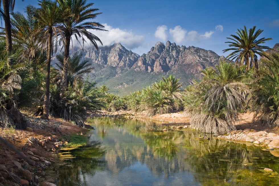 Socotra: Una isla de ciencia ficción
