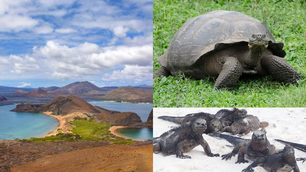 ¿Por qué son importantes las Islas Galápagos?