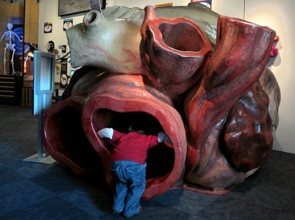 El corazón más grande del planeta...