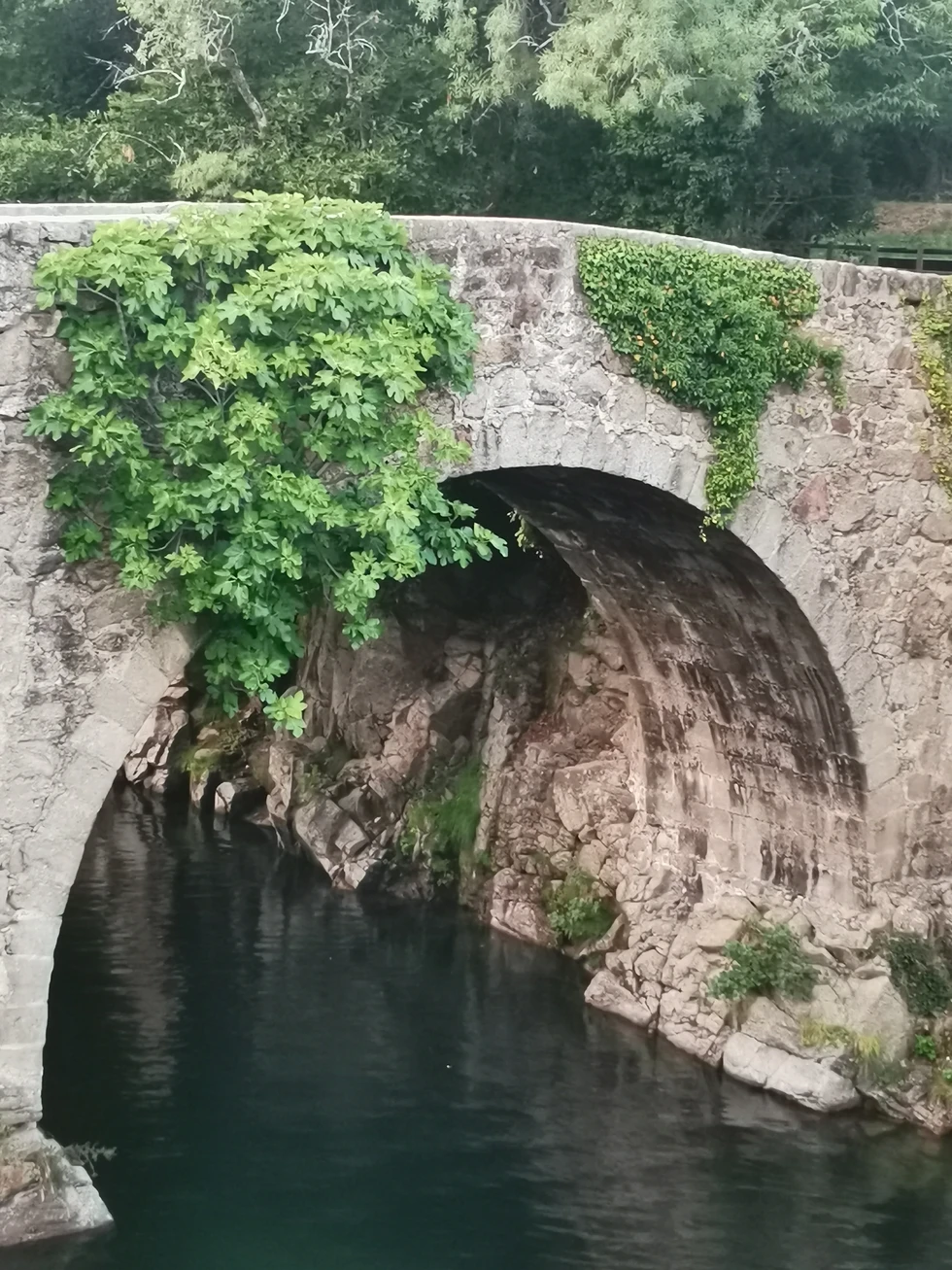 PUENTE ROMANO