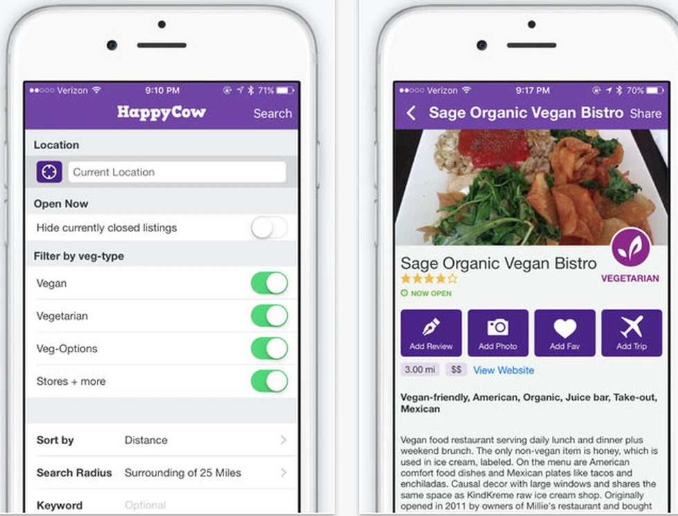 Encuentra opciones de comida vegetariana y vegana alrededor del mundo con esta aplicación