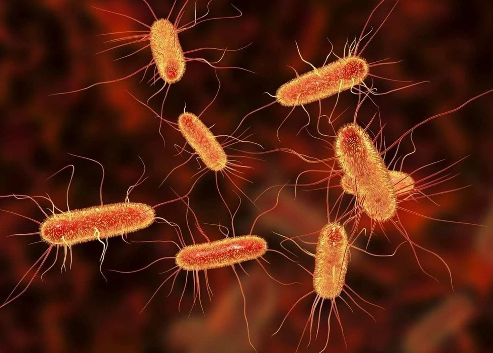 Superbacterias resistentes a antibióticos: un peligro creciente para la salud global