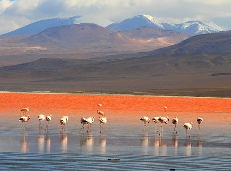 Una laguna espectacular en Bolivia...