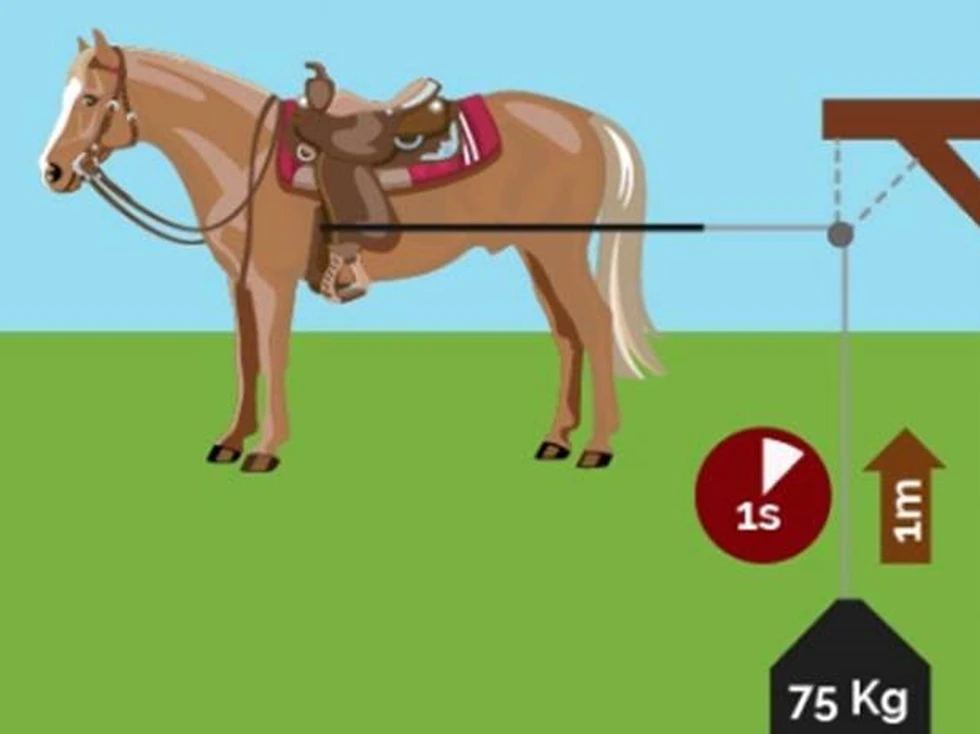 ¿Sabes de dónde viene eso de los "caballos" de potencia de tu coche?