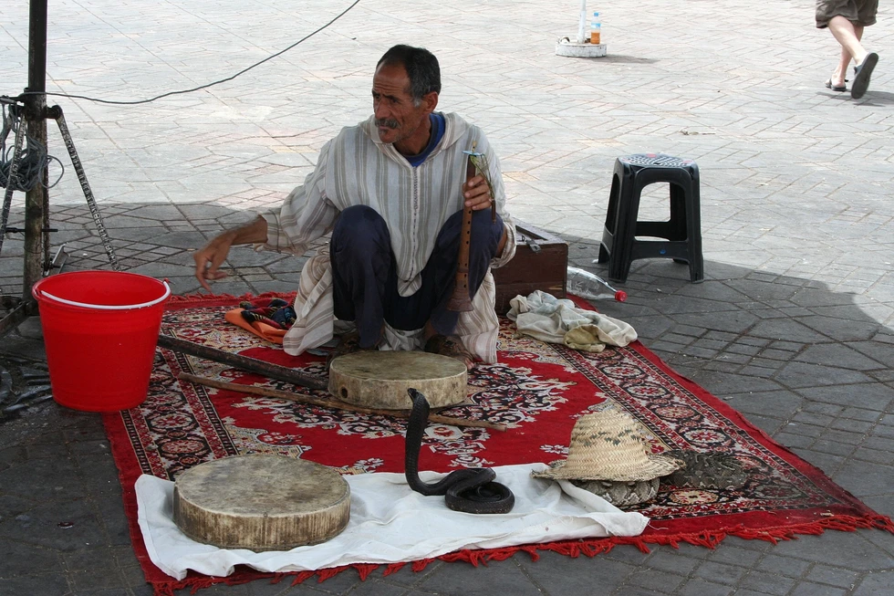 La "danza" de la serpiente