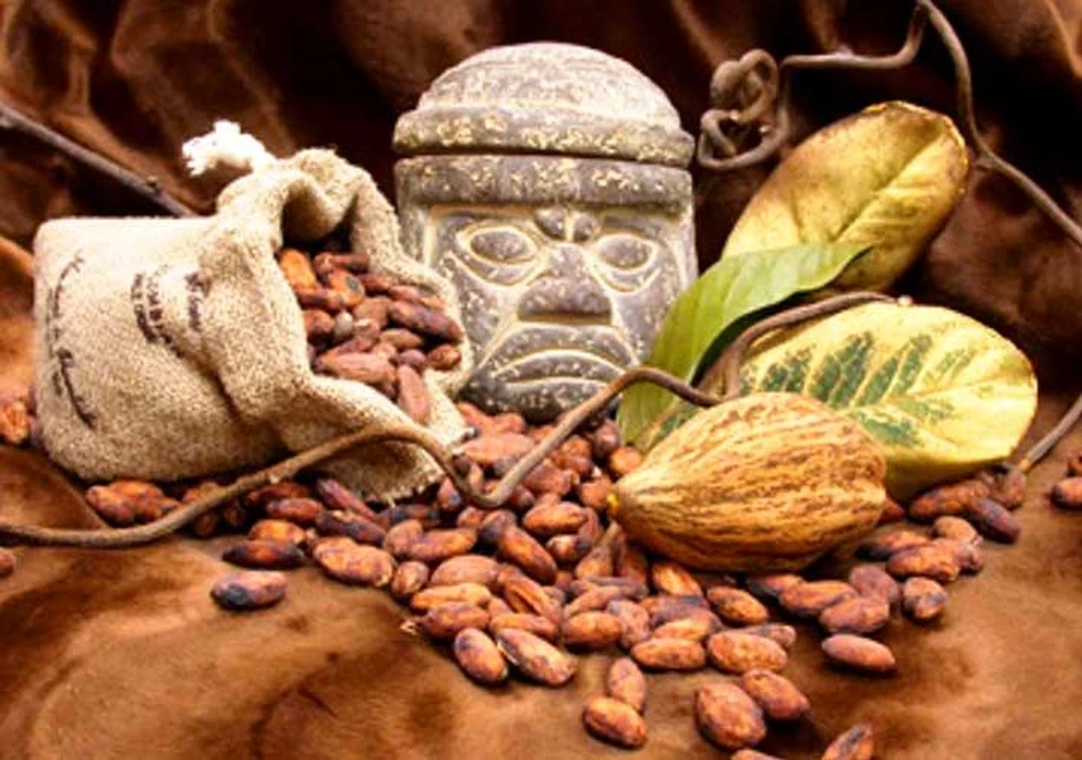 El cacao en el México prehispánico: Moneda, bebida de dioses y tesoro ancestral