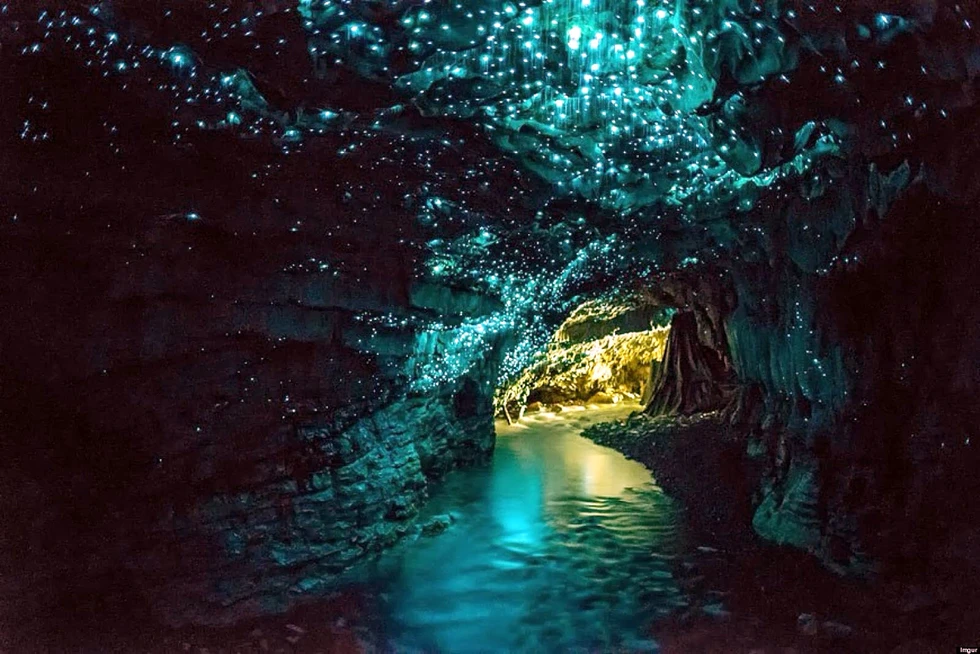 Las “Glowworm Caves” o “Cuevas de los gusanos que brillan”