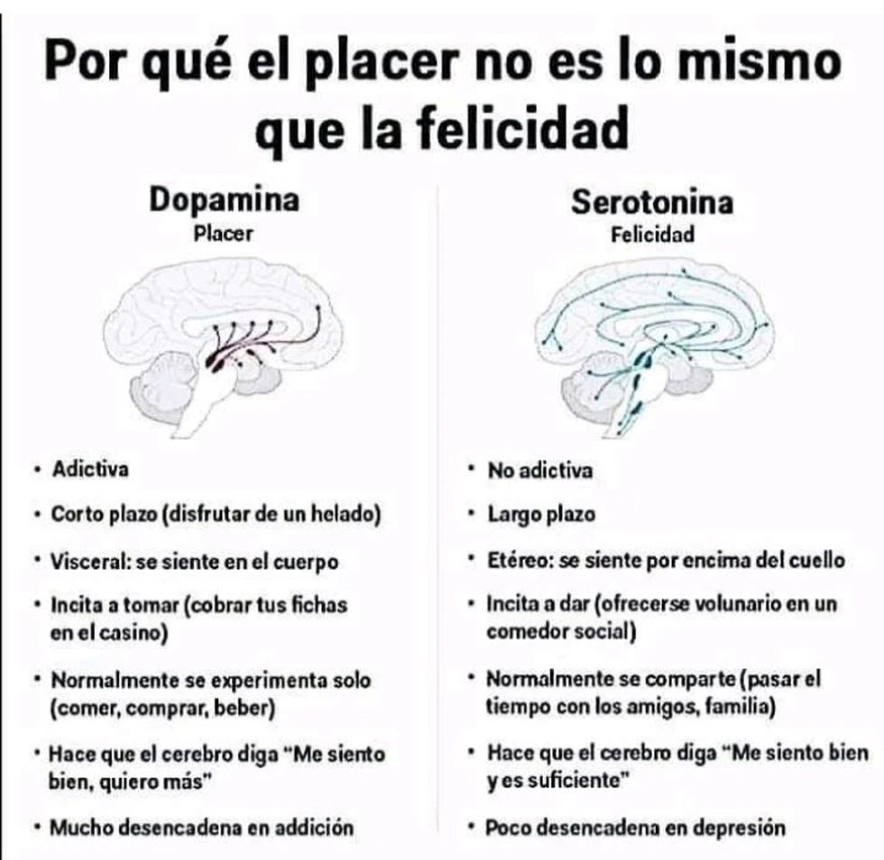 La Dopamina, la Serotonina, el placer y la felicidad