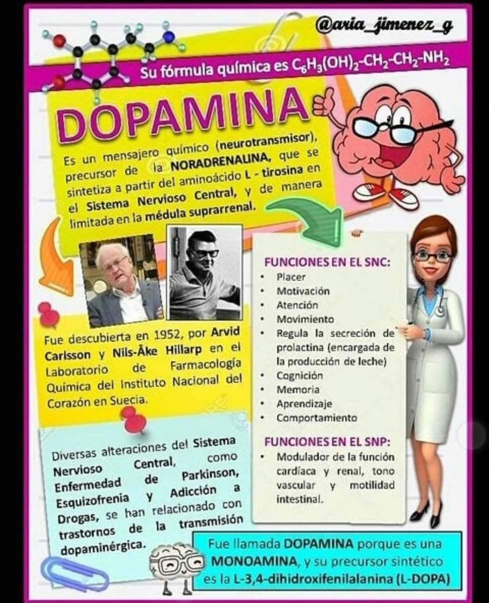 La Dopamina, El neurotransmisor del placer y la motivación