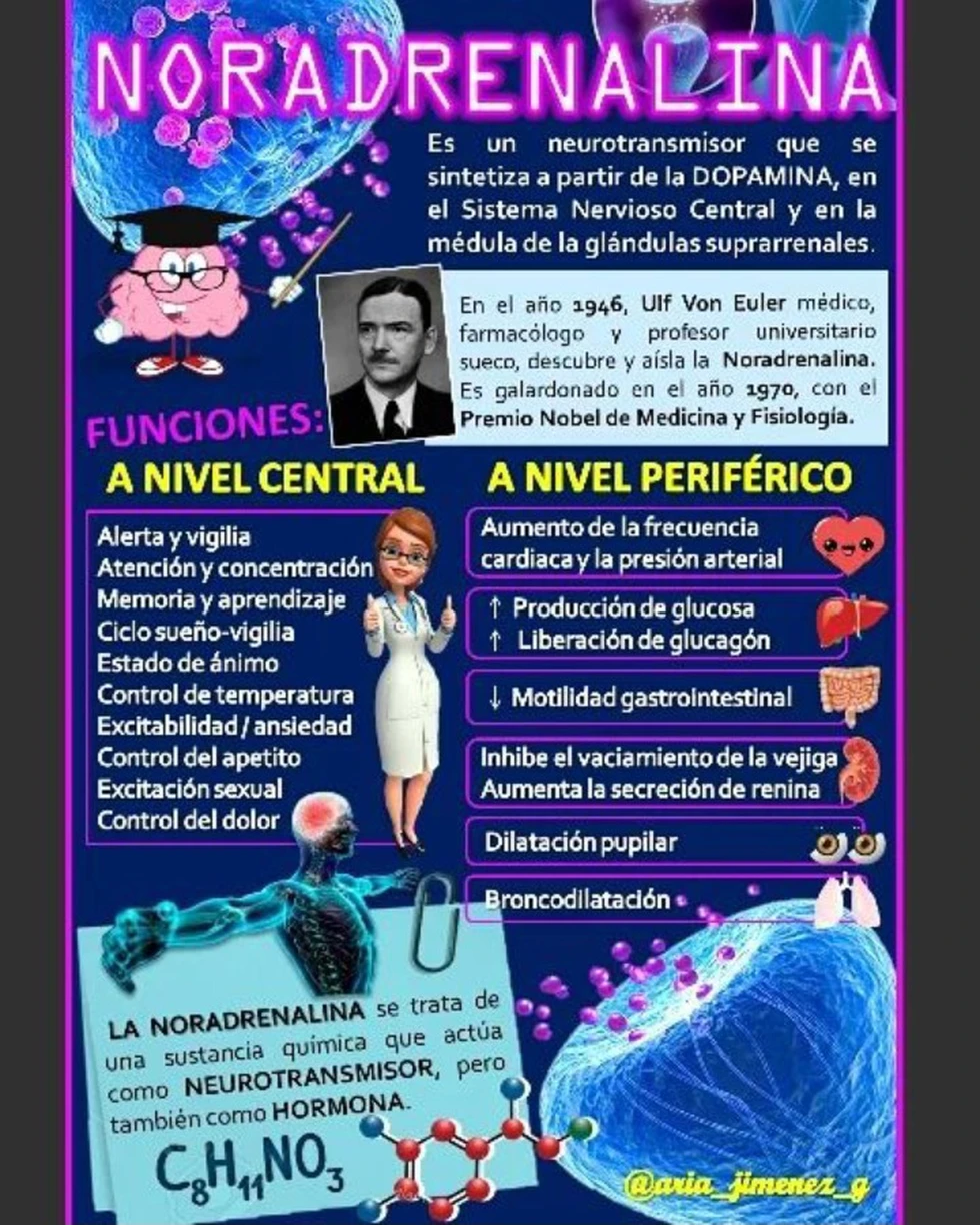LA NORADRENALINA, ¡el neurotransmisor que te mantiene alerta!