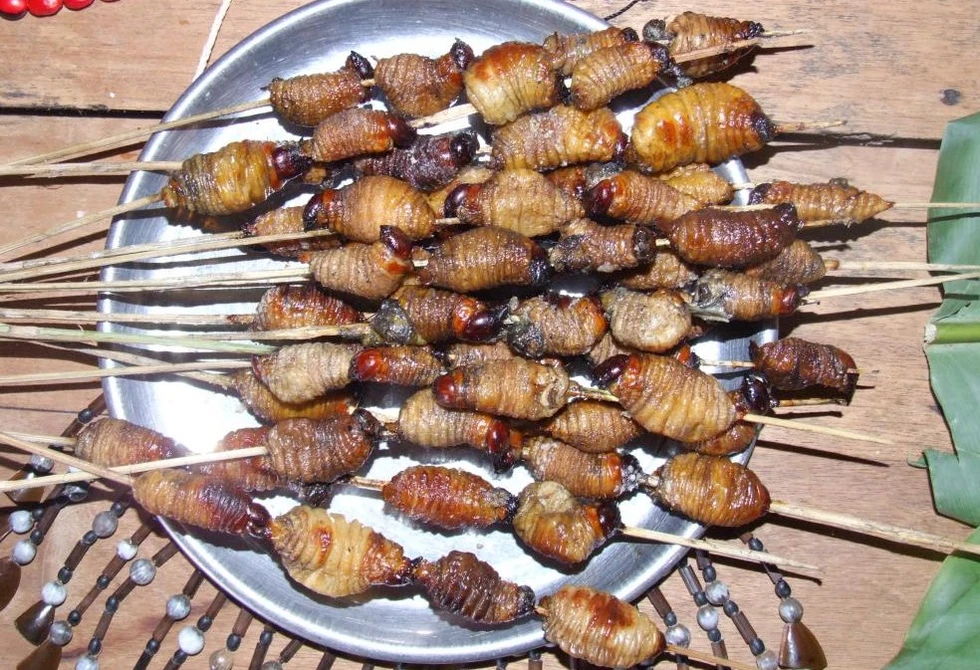 Unos pinchitos de lo más curiosos jajaja