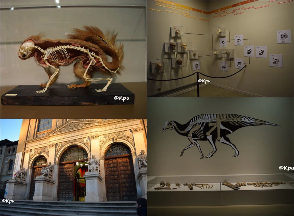 Museos de ciencias naturales, mis preferidos!