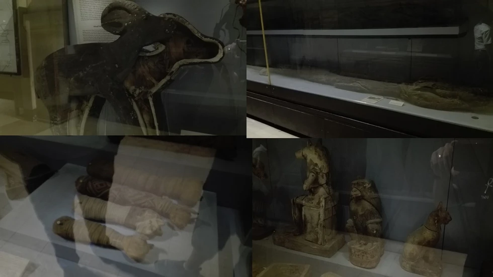 Los egipcios no sólo momificaban personas...