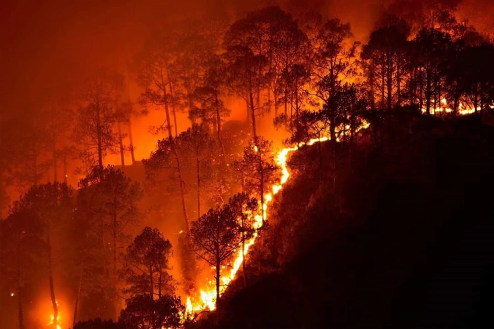 Tipos de incendios forestales