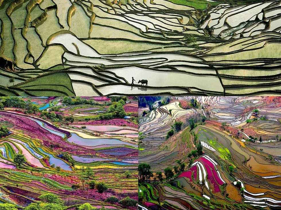 Condado de Yuanyang, una maravilla paisajística en China...