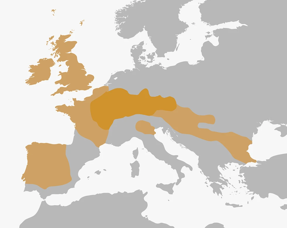 ¿Quiénes fueron los Celtas?
