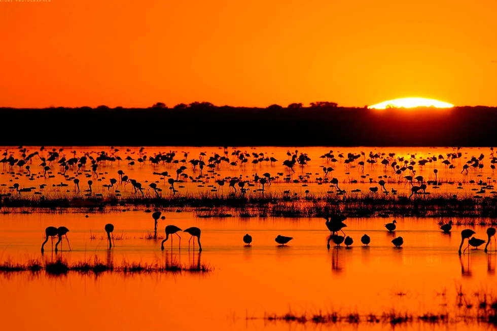 LA CARRERA DE LA VIDA, un hermoso poema africano